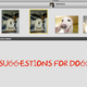 Image for article titled What To Know About iPhoto '09 Face Detection and Recognition